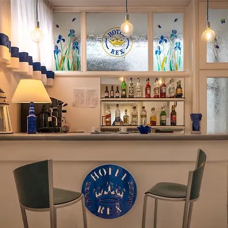 雷克斯酒店 酒店 维亚雷焦