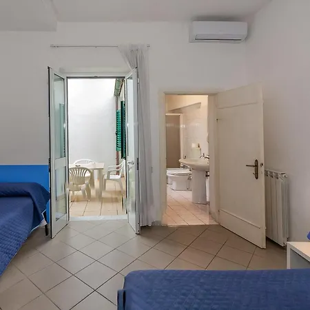 Rex Виареджо