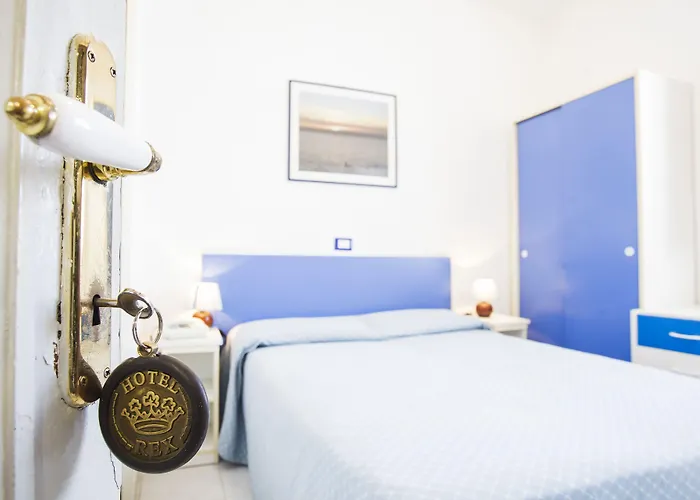 酒店 雷克斯酒店 维亚雷焦